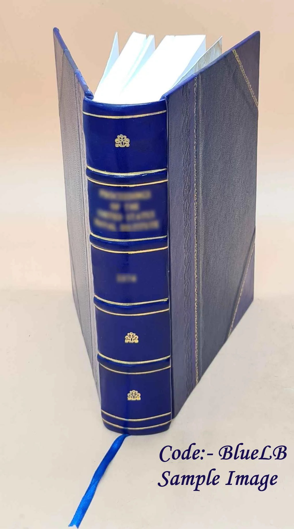 Practical Procedure Bankruptcy Judicial Liquidations 1896 Leather Bound S54298