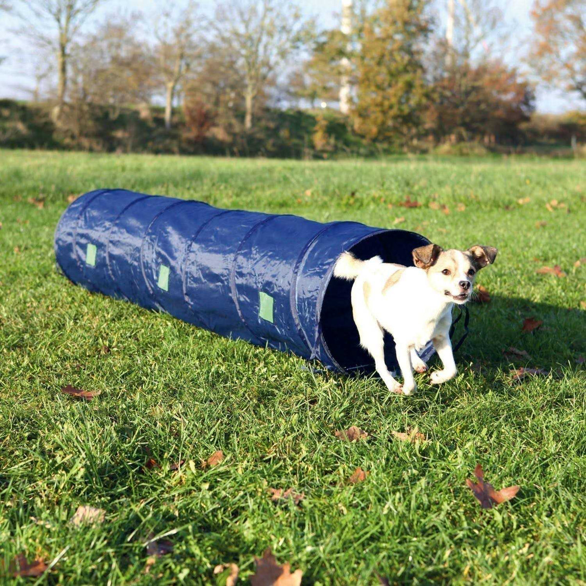 Agility Tunnel U337742