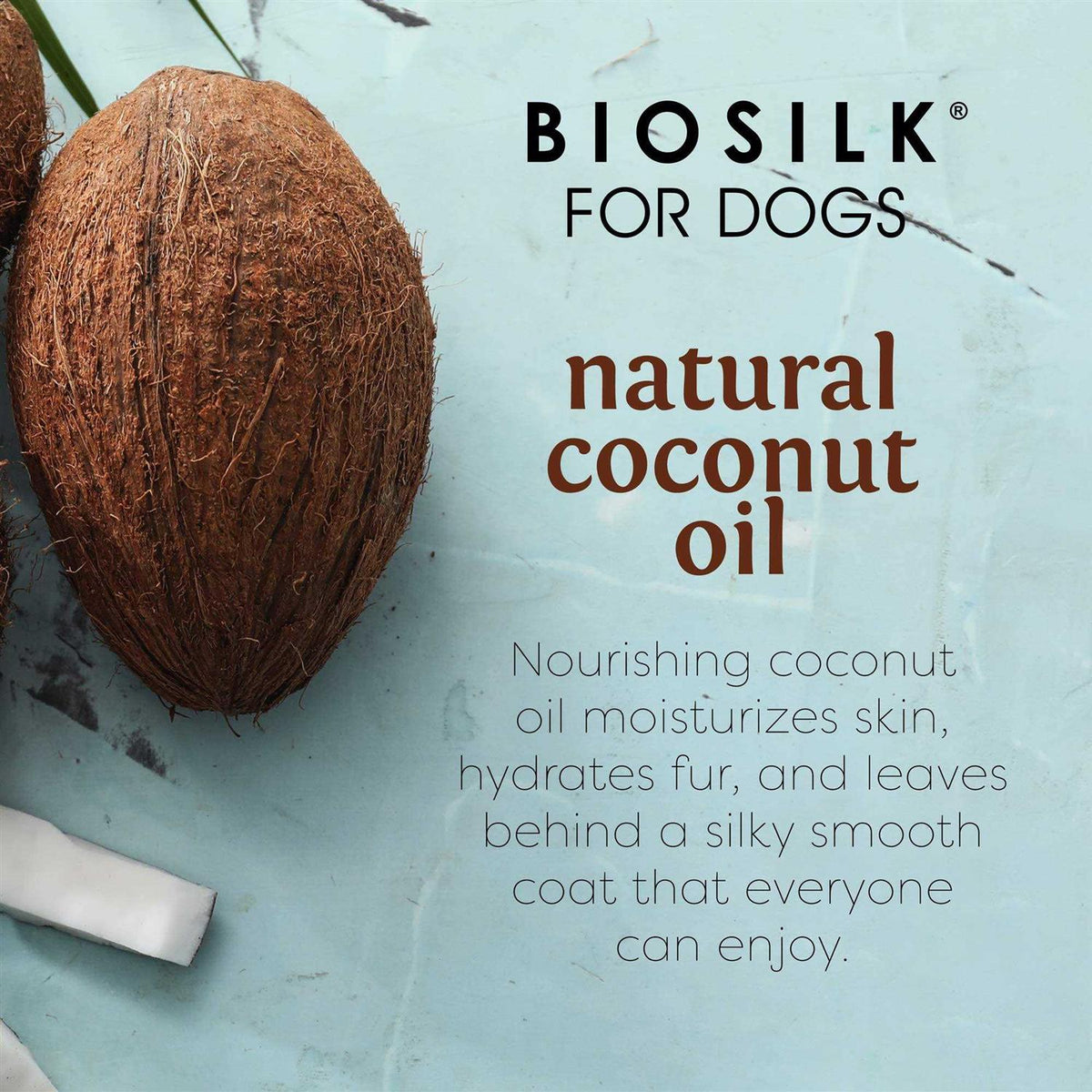 Coconut Oil Dog Shampoo Z534782