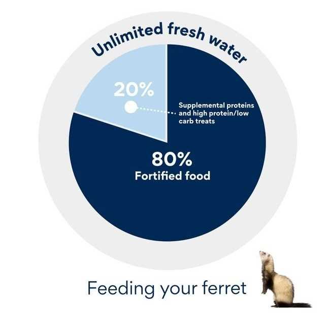 Ferret Soft Treats E874