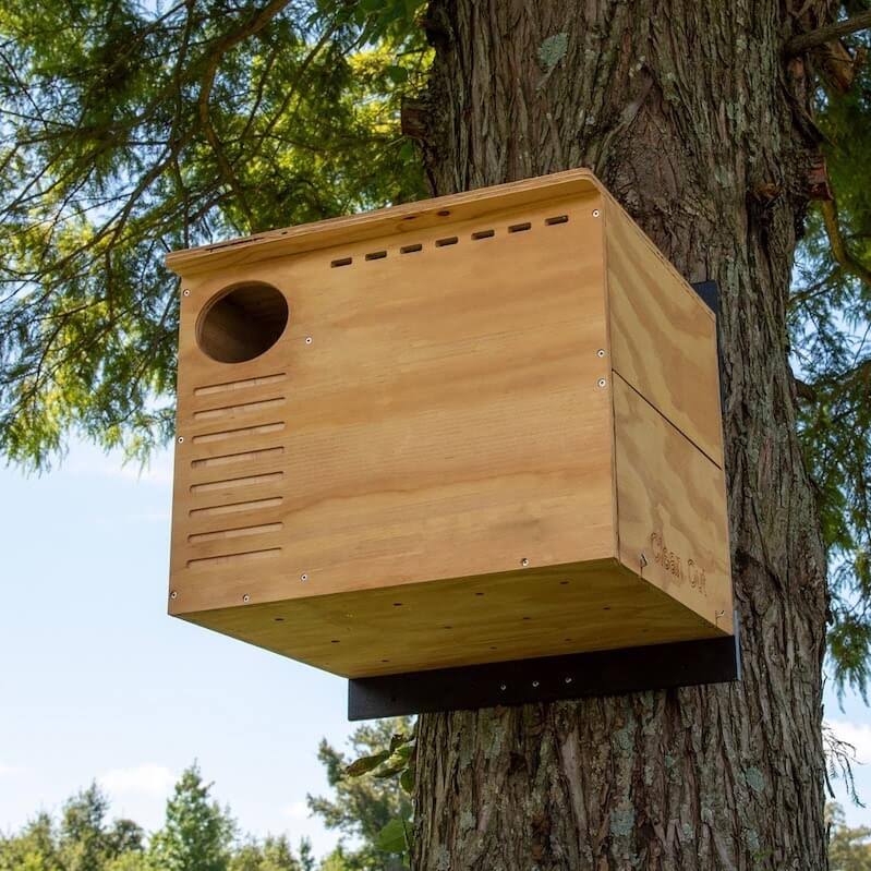Barn Owl Nest Box House E7187