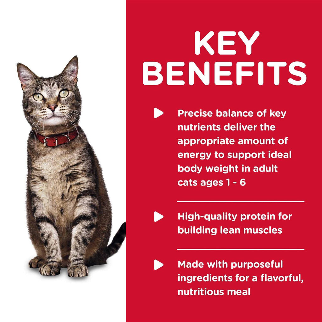 Tender Chicken Dinner Canned Cat Food T54072