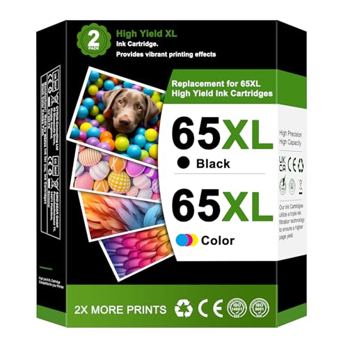 67 Ink Cartridges Black/Color Combo Pack (2-Pack) L653455
