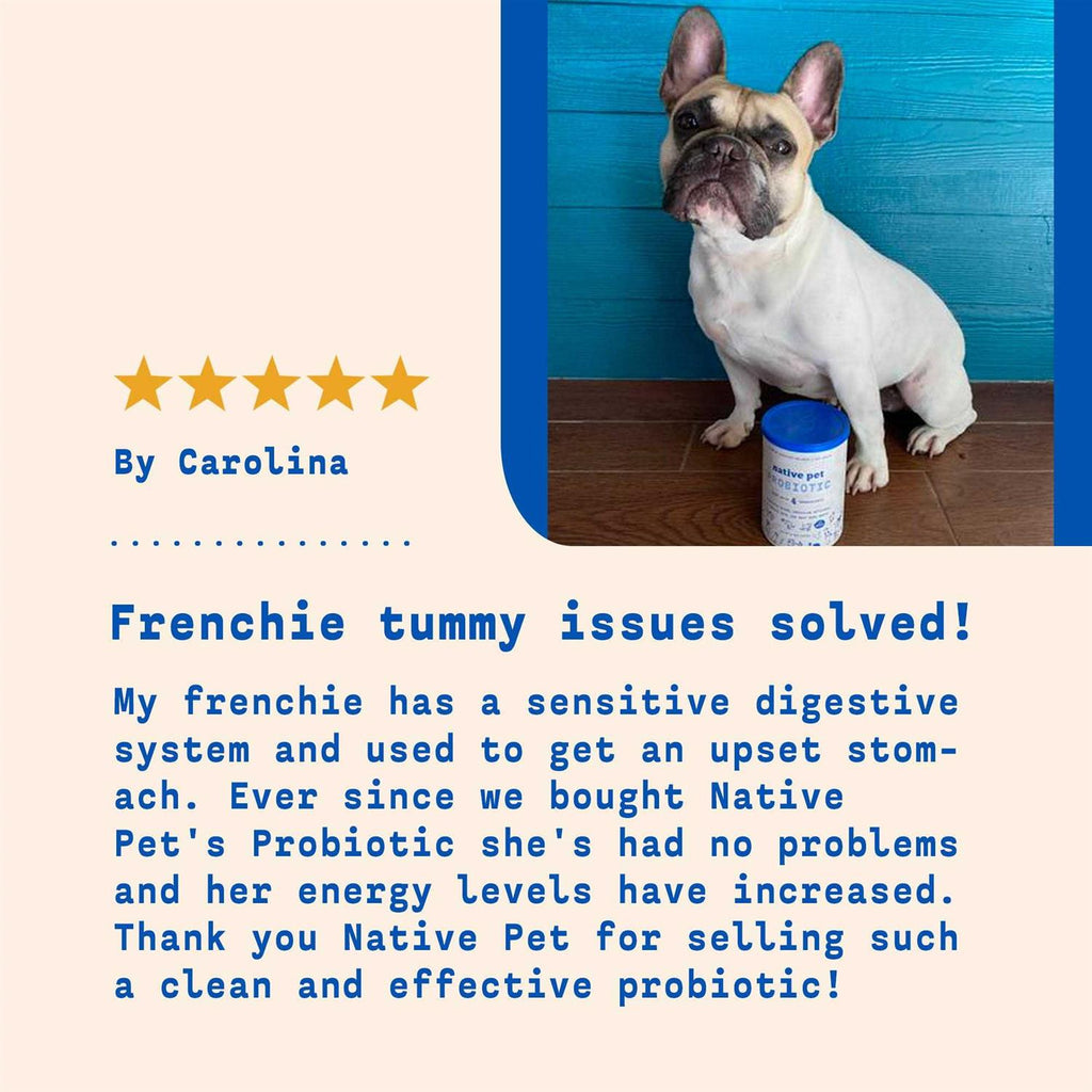 Probiotic Powder for Dogs P1687
