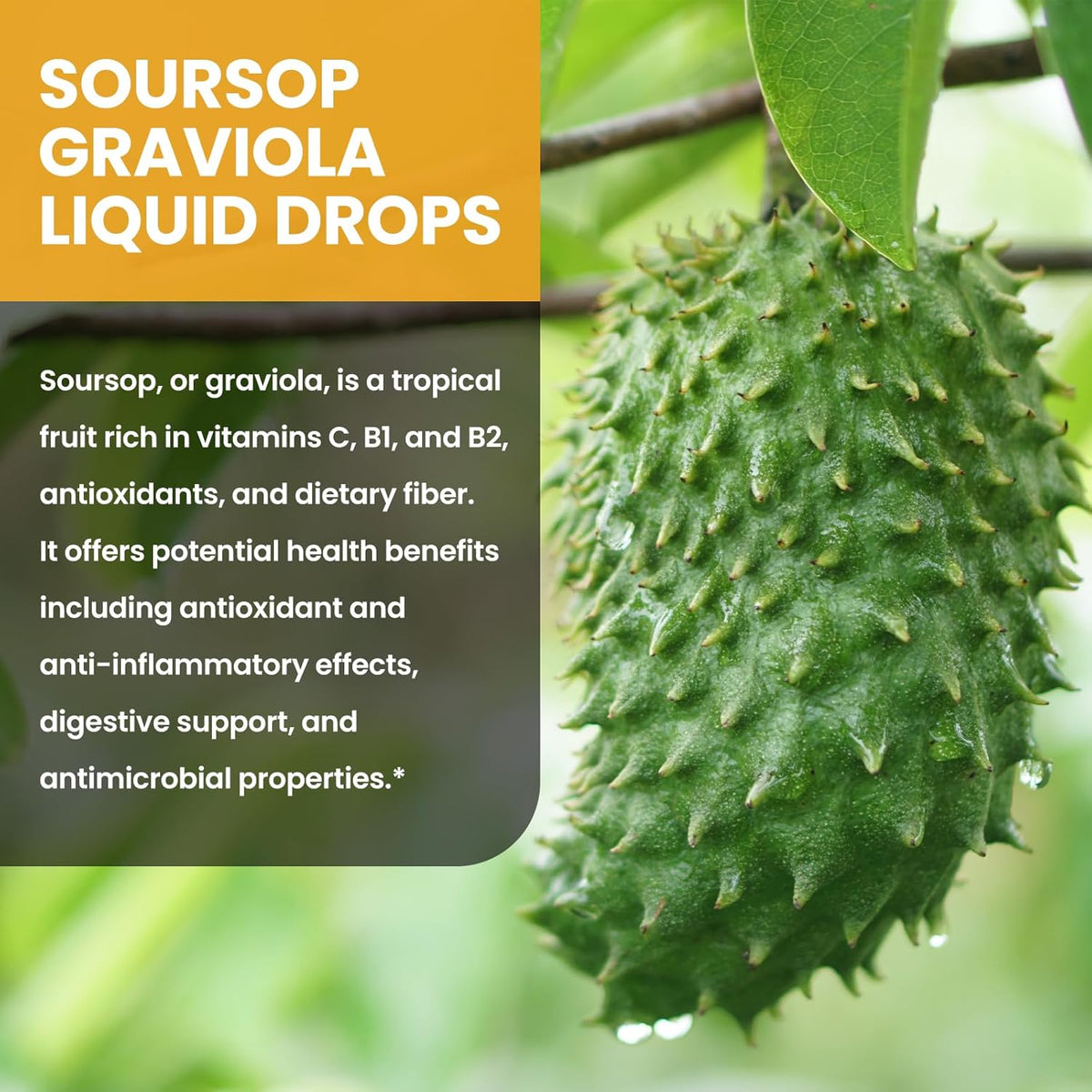 Soursop Graviola Liquid Drops 1500mg with Green Tea, Black Seed Oil, Turmeric 2 Fl Oz X91585