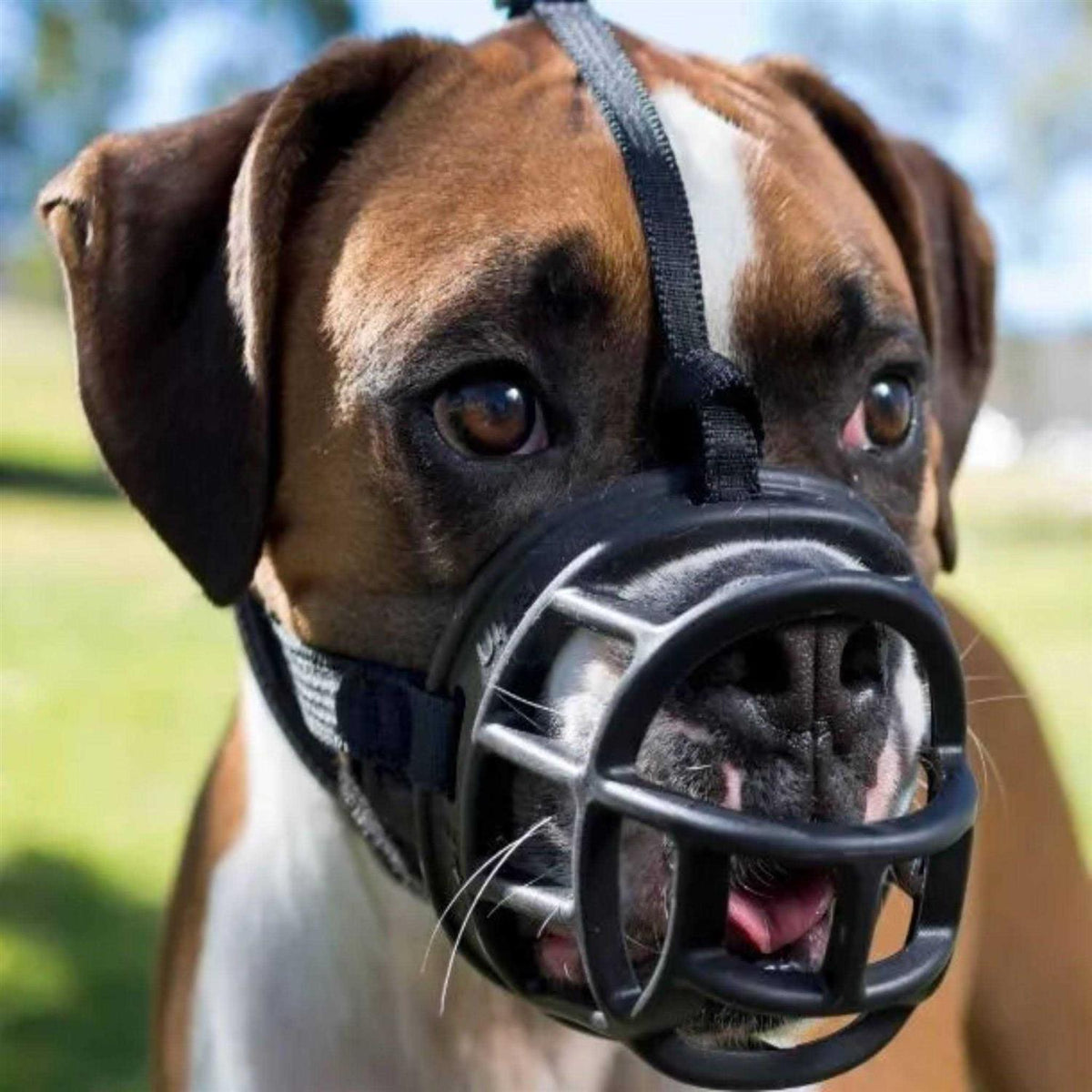 Ultra Muzzle E540