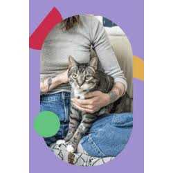 Cat Treat O782