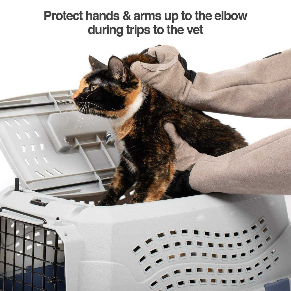 Multipurpose Pet Glove I31256