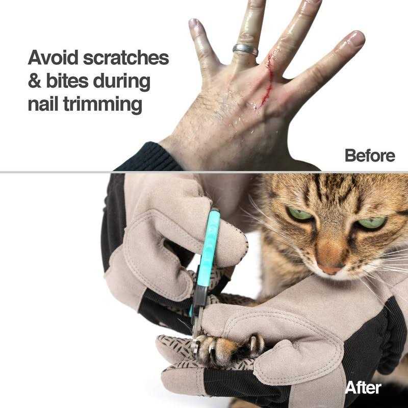 Multipurpose Pet Glove I31256
