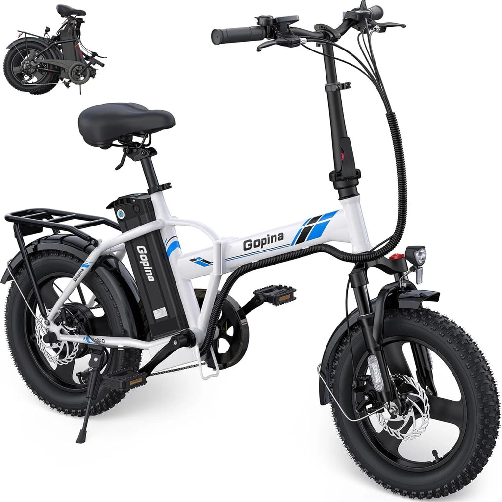 350W Fat Tire Folding Electric Bike D9515