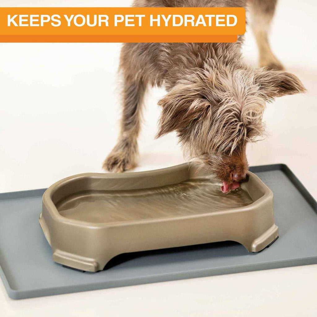Dog Water Bowl with Leg Extensions R93161