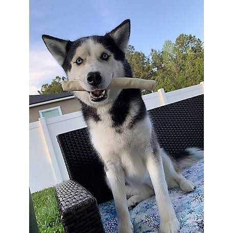 All Natural Rawhide Rolls Dog Chew Treats F1186