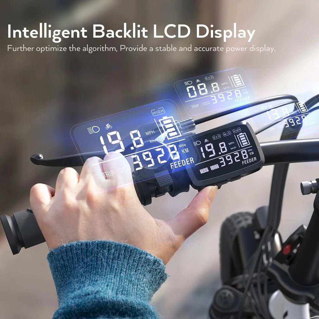 350W Fat Tire Folding Electric Bike D9515
