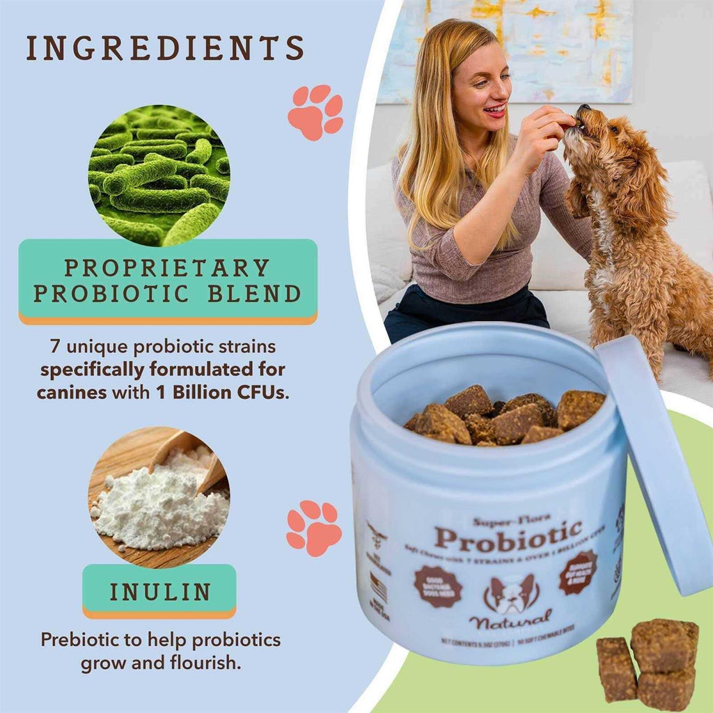 Probiotic Supplement D1634