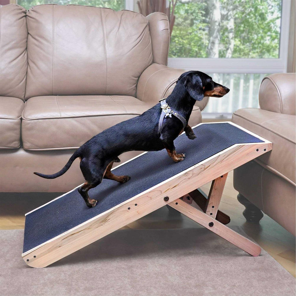 Dog Ramp D337