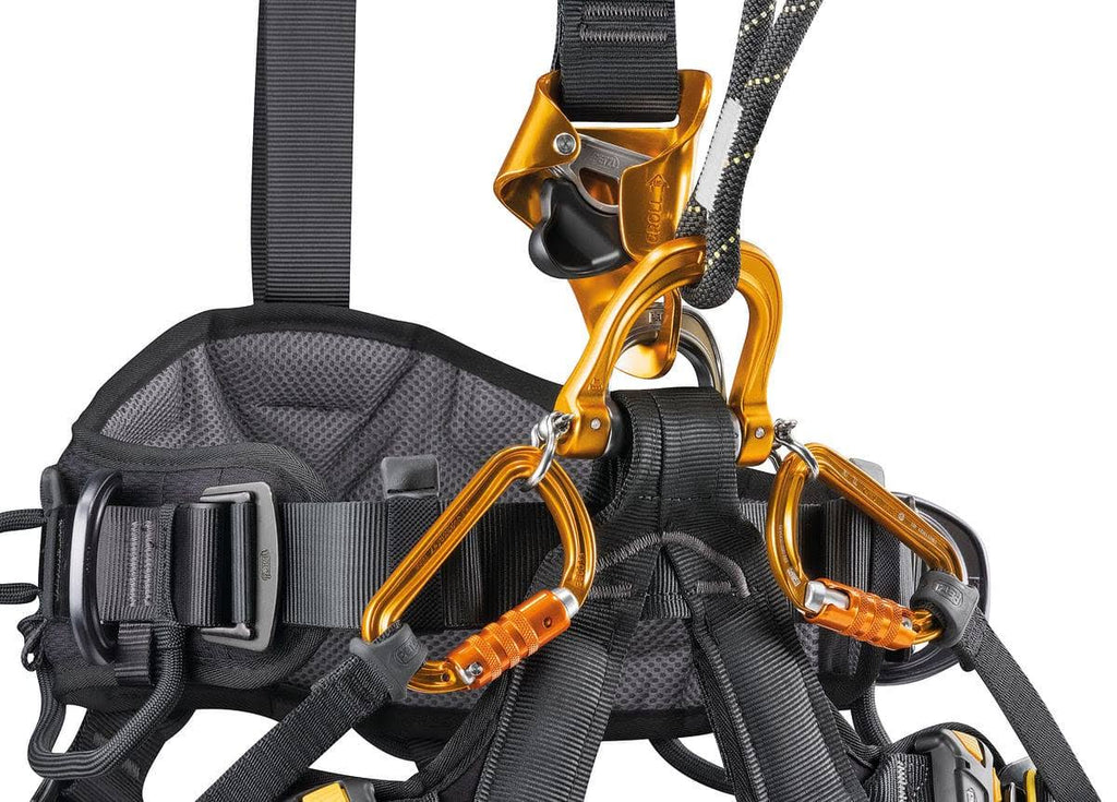 Harness O122945