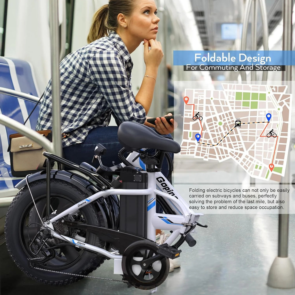 350W Fat Tire Folding Electric Bike D9515