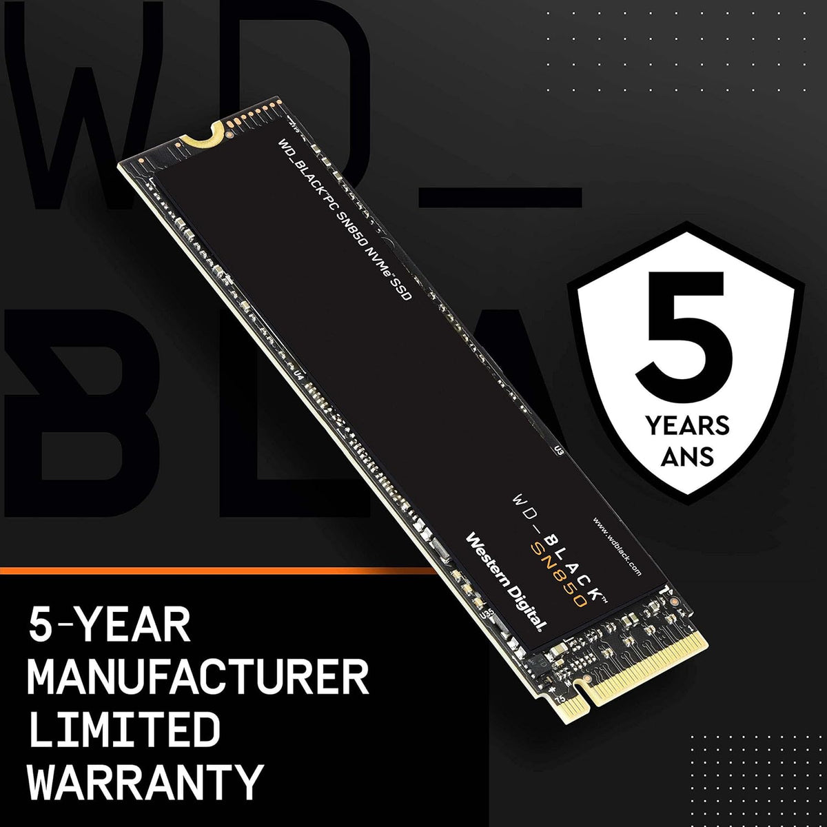 1TB NVMe Internal SSD Solid State Drive E4848