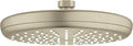 8 Inch Chrome Showerhead O13504