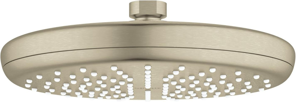 8 Inch Chrome Showerhead O13504