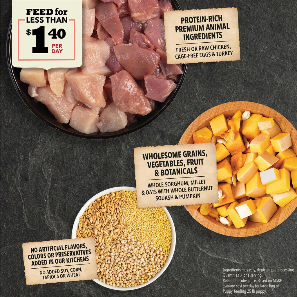 Dry Dog Food O80602