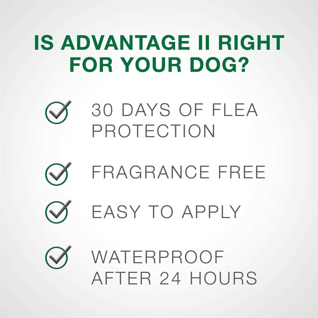 Advantage II for Dogs 3 D506854