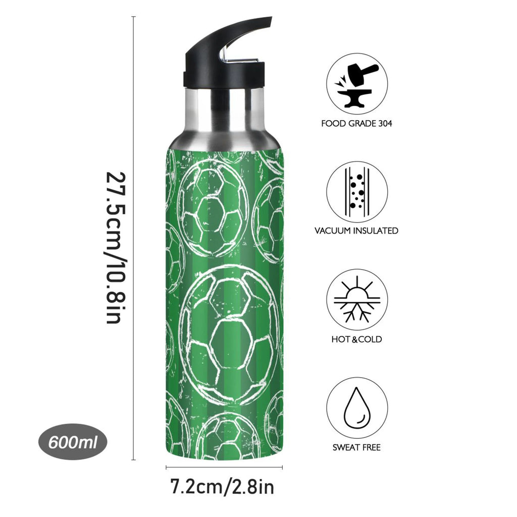 Stainless Steel Insulated Water Bottle with Straw Lid G217788