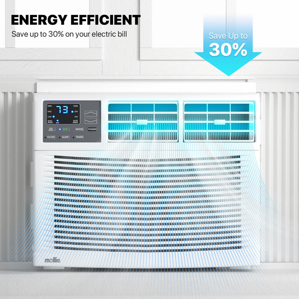 6,000 BTU Smart Window Air Conditioner with WiFi, White R5196