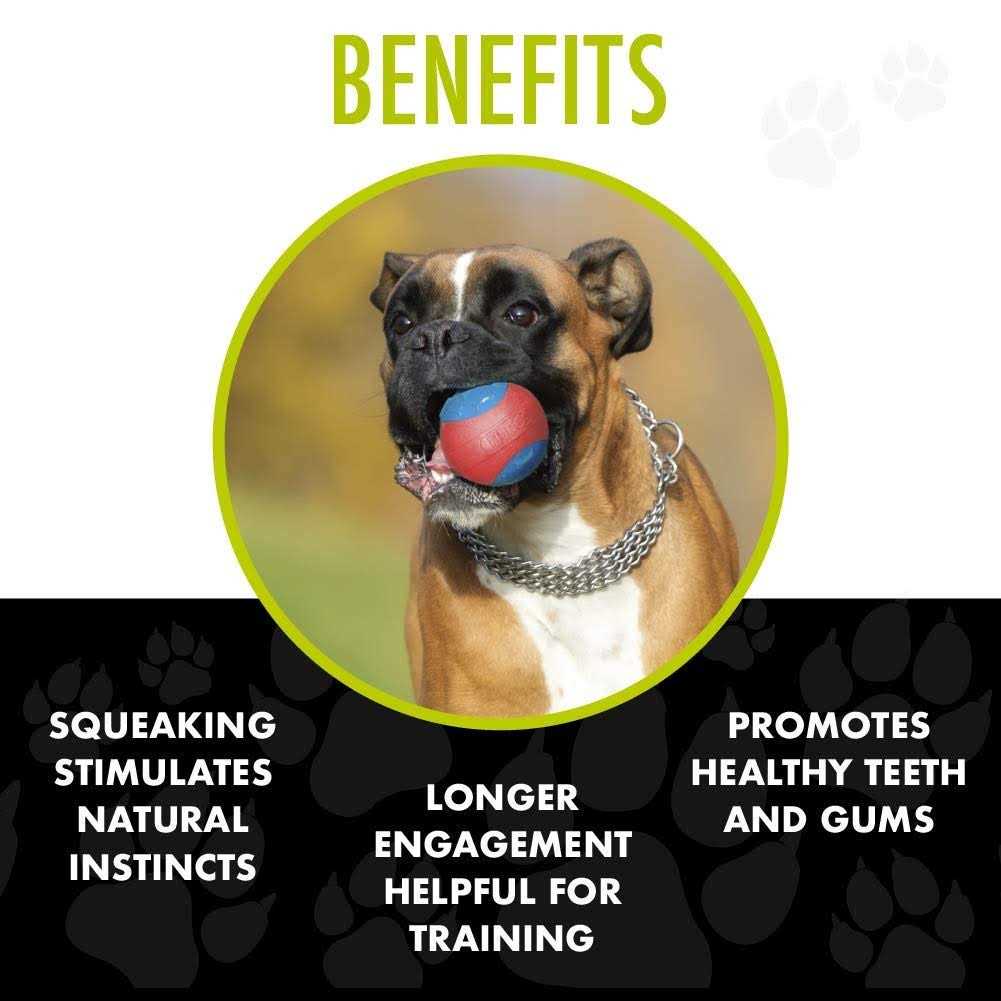 Armor Ball Dog Toy L64737