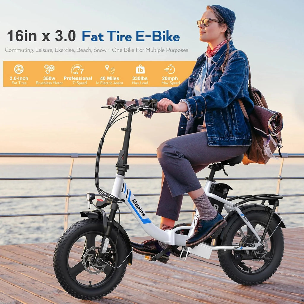 Folding Electric Bike 350W Fat Tire X6660
