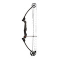 Adjustable Carbon Compound Bow G311