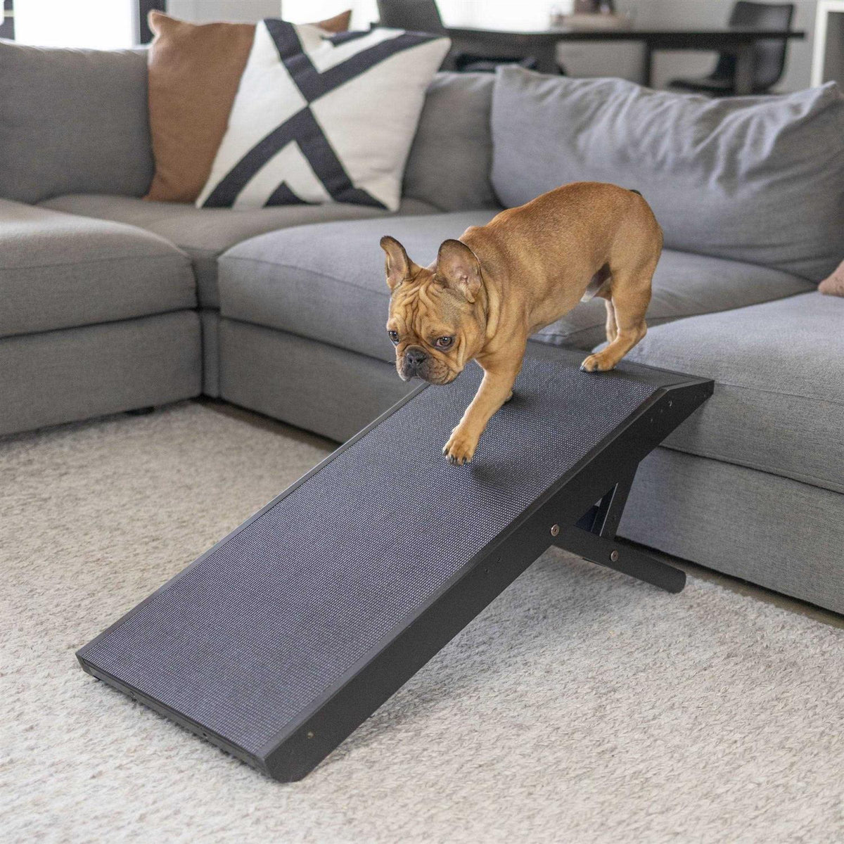 Dog Ramp D337