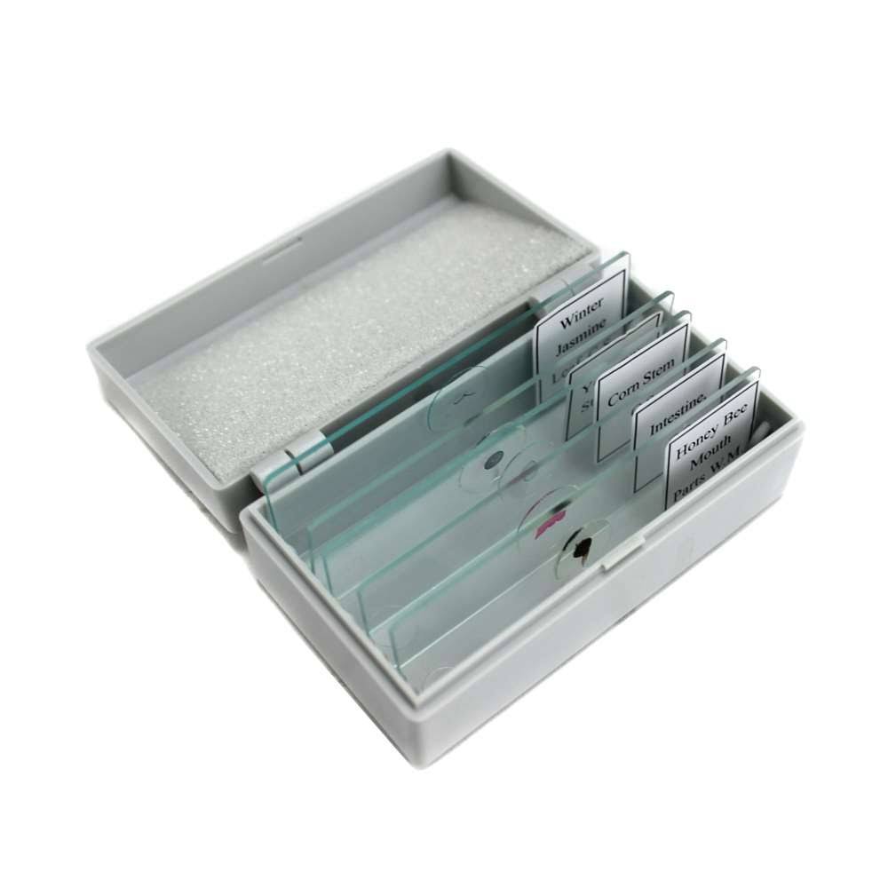 500X Biological Microscope O5454