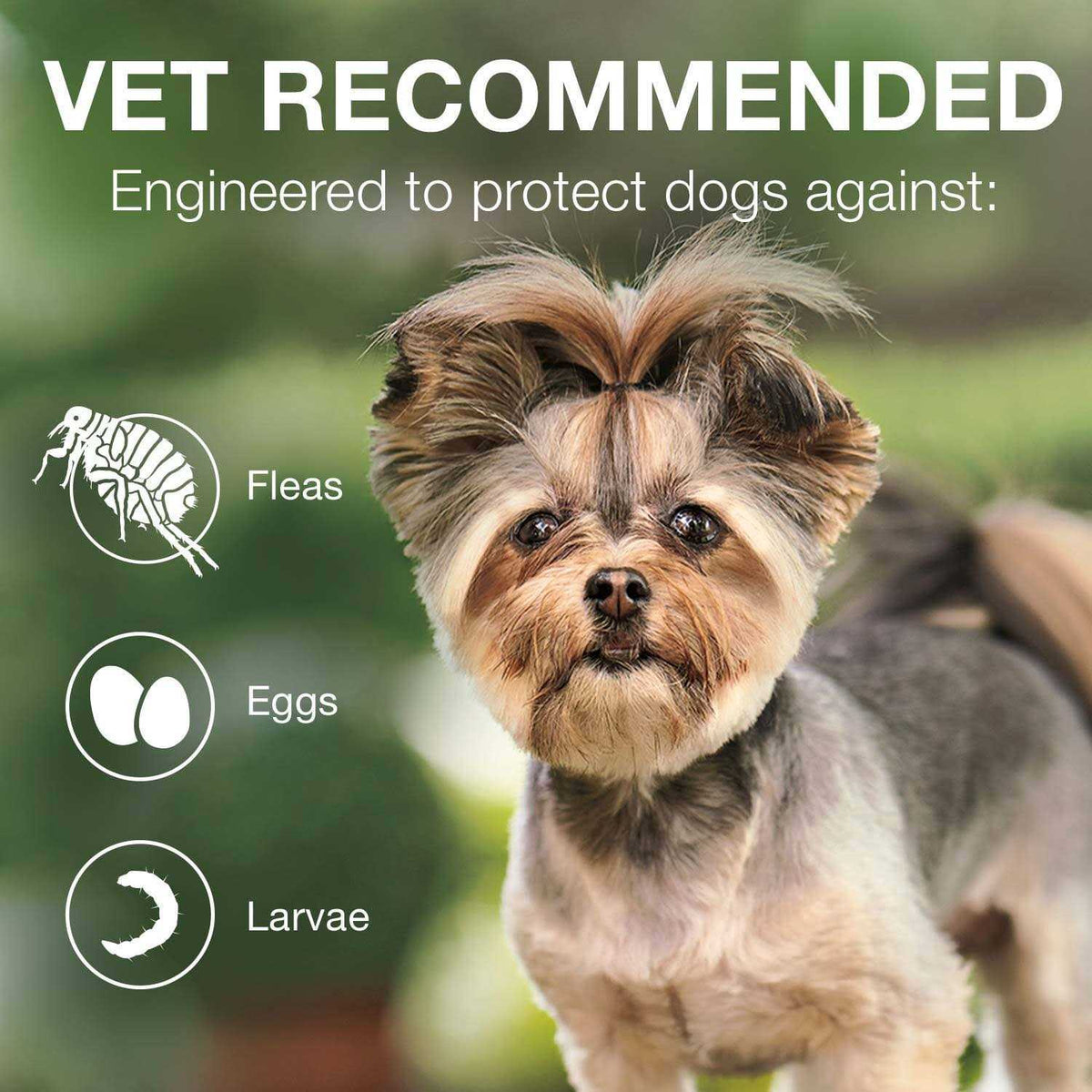 Advantage II for Dogs 3 D506854
