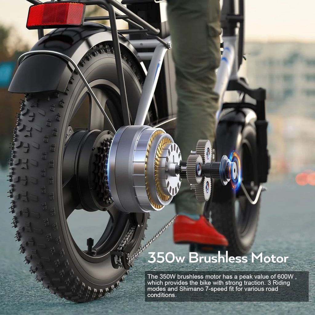 350W Fat Tire Folding Electric Bike D9515