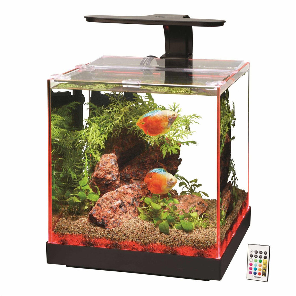 Aquarium P81566