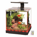Aquarium P81566