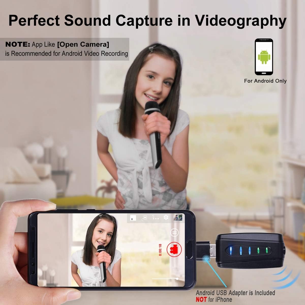 USB Wireless Microphone with USB Receiver, Pack of 2 W486