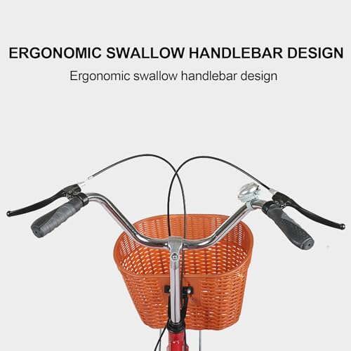 16 inch Foldable 3 Wheel Tricycle with Back and Cargo Basket Z73249