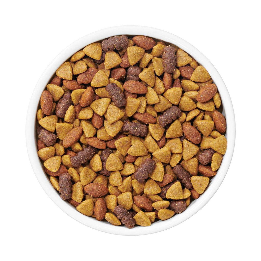 Complete Adult Dry Dog Food N8500