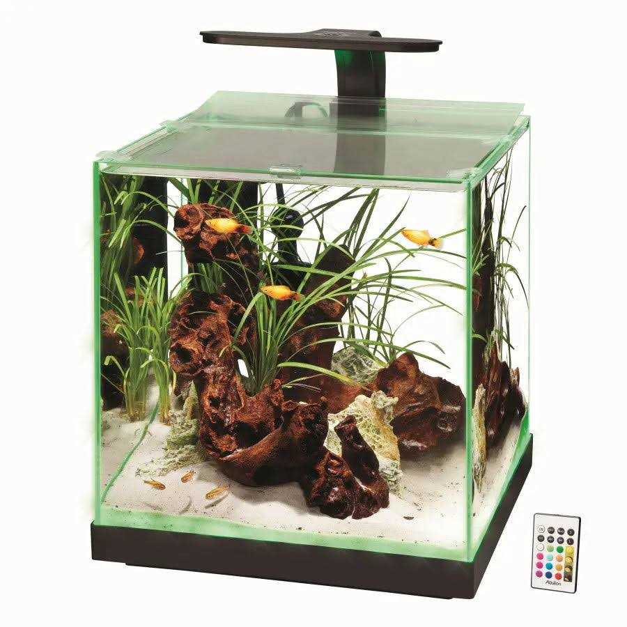 Aquarium P81566