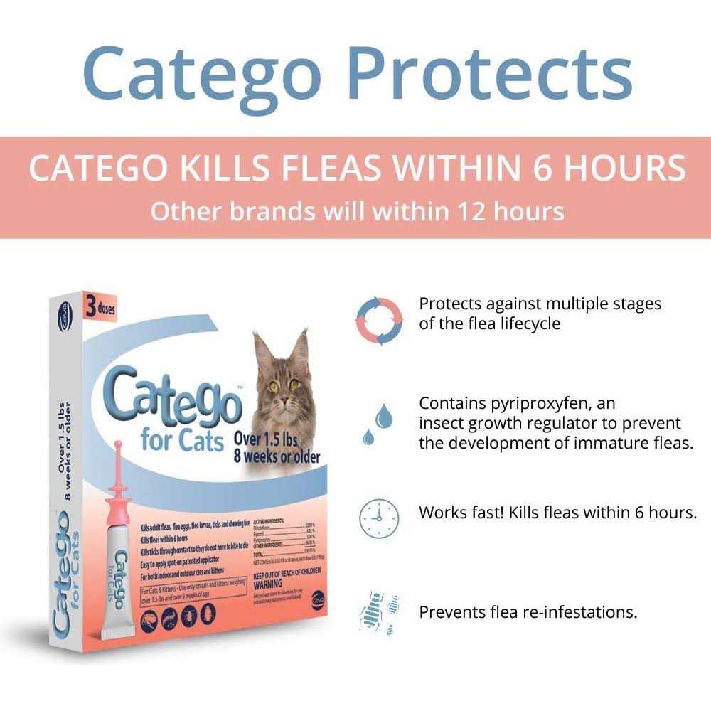Flea & Tick Treatment for Cats S322
