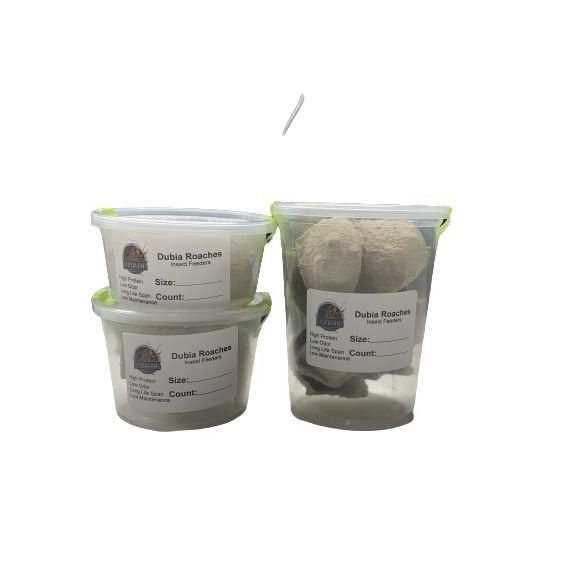Small Roach Hornworm & Superworm Live Feeder Combo Reptile Food R30307