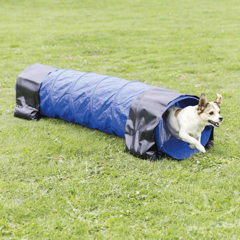 Agility Tunnel U337742