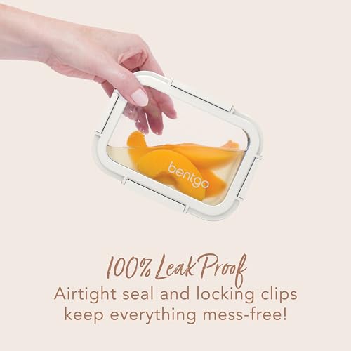 4-Piece Glass Food Storage Set T831971