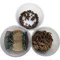 Small Roach Hornworm & Superworm Live Feeder Combo Reptile Food R30307