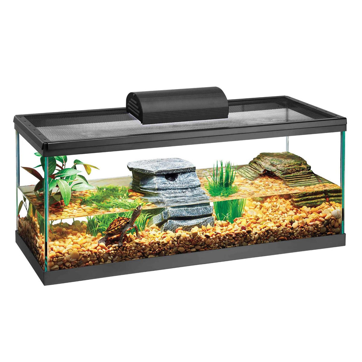 Aquarium Tank T839592