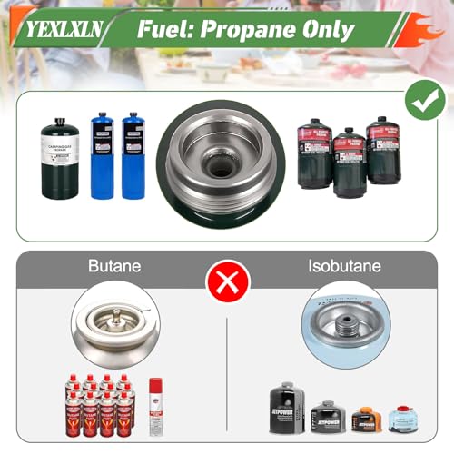 2-Burner Foldable Propane Camp Stove with Griddle and Carrying Bag Y768