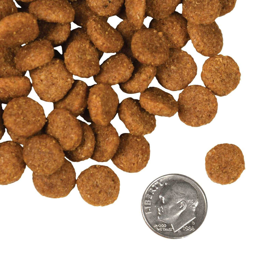 Salmon Dog Food X1299