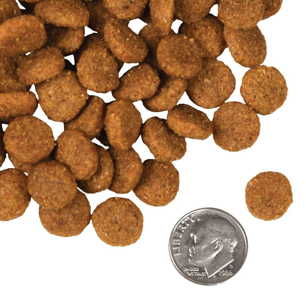 Salmon Dog Food X1299